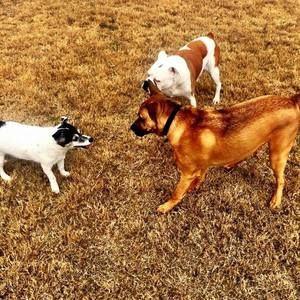 Meet your Posher, Phillip